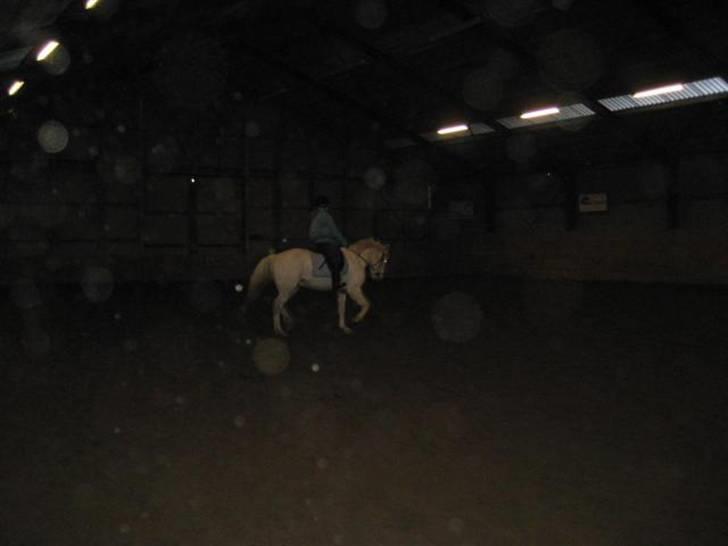 Connemara O'Connor billede 2