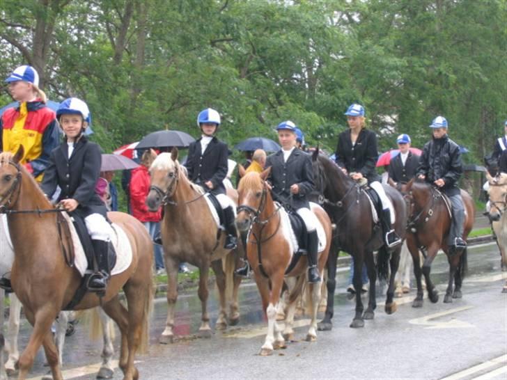 Anden særlig race Isa - Optoget i Aabenraa billede 16