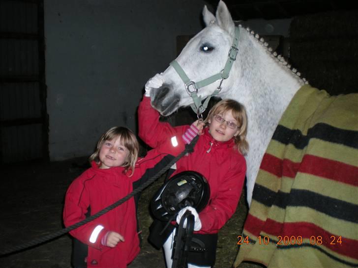 Anden særlig race Line - camilla og Line til stævne billede 1