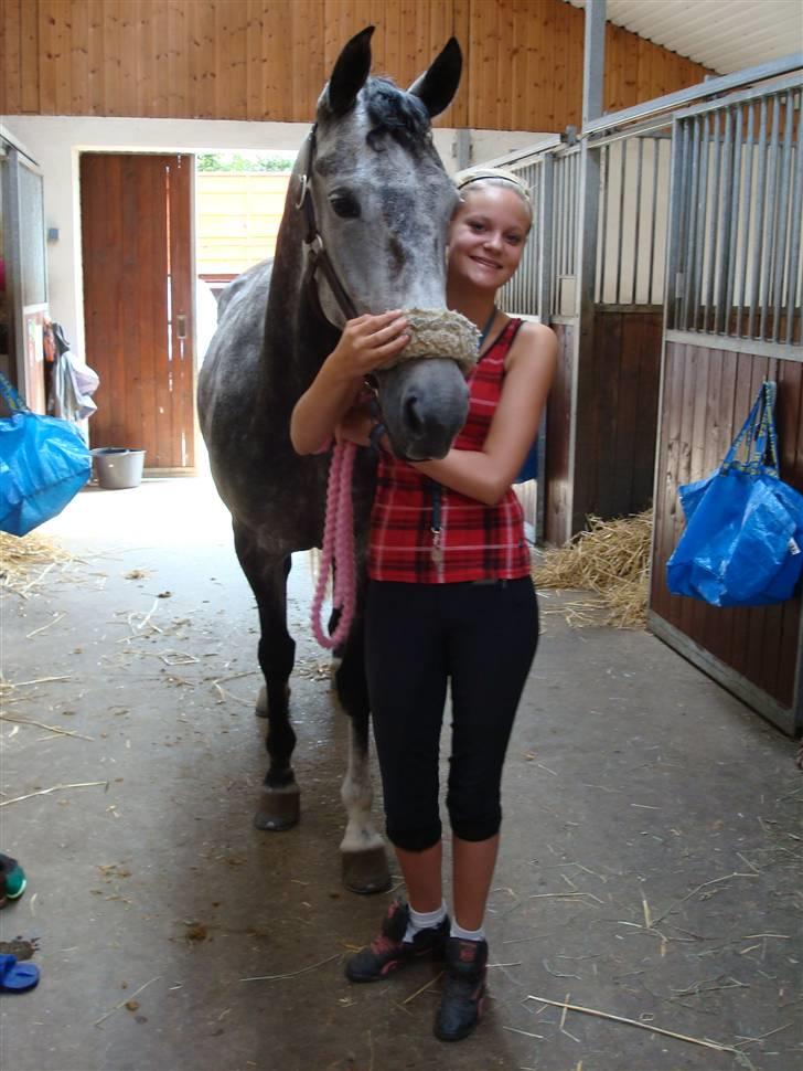 Anden særlig race Delight billede 1