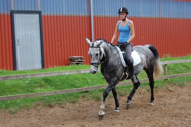 Anden særlig race Delight billede 2