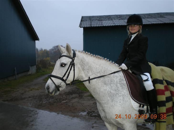 Anden særlig race Line billede 3