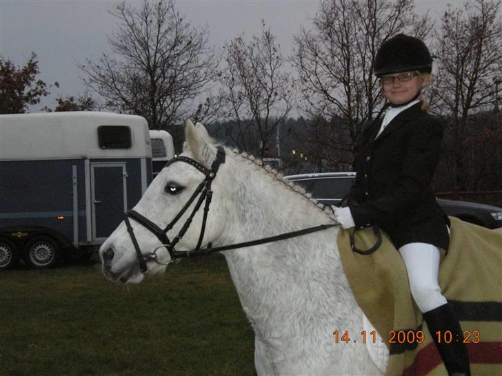 Anden særlig race Line - sidste dresur stævne på line billede 4