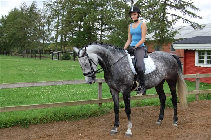 Anden særlig race Delight billede 6