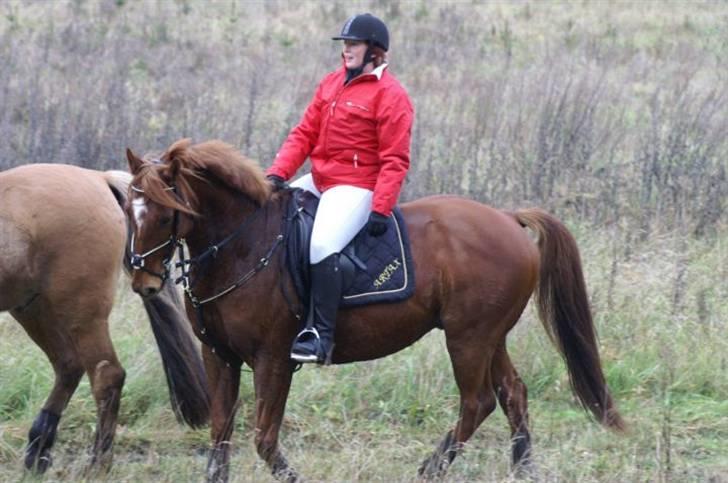 Anden særlig race Asbæk Moesgaard Artax -  Dette er fra min aller første jagt nogensinde... billede 6