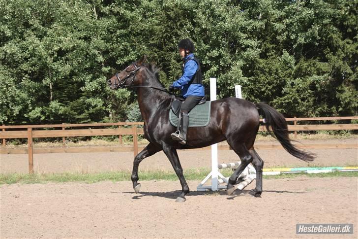 Oldenborg Jasmin (Død) billede 5