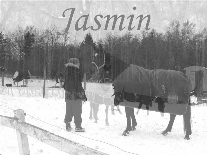 Oldenborg Jasmin (Død) billede 6