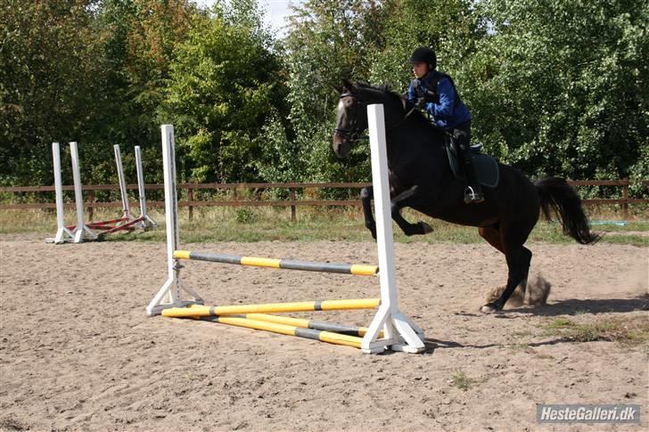 Oldenborg Jasmin (Død) billede 7