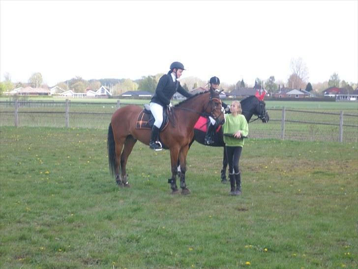 DSP Fontaine | Tidl. Låne (: billede 20