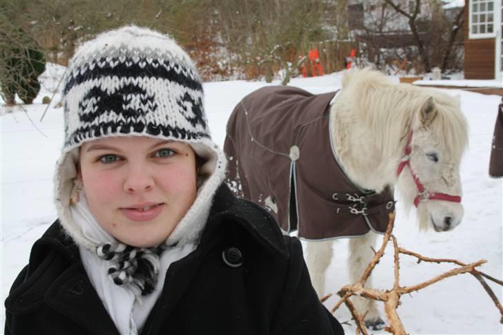 Islænder Pandra - Pandra den 13-2-2010 billede 7