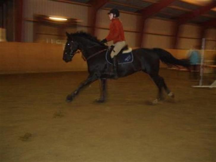 Oldenborg Dumle - fuld fart fremad xD billede 10