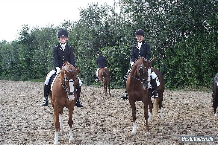 Welsh Pony (sec B)  Molenhorn´S Amaretto B-PONY [Tidl. hest] - De 2 halvsøskene Bolheims Anja og Molenhorns Amaretto til stævne i Guldager d. 28 august 2010:-D billede 8