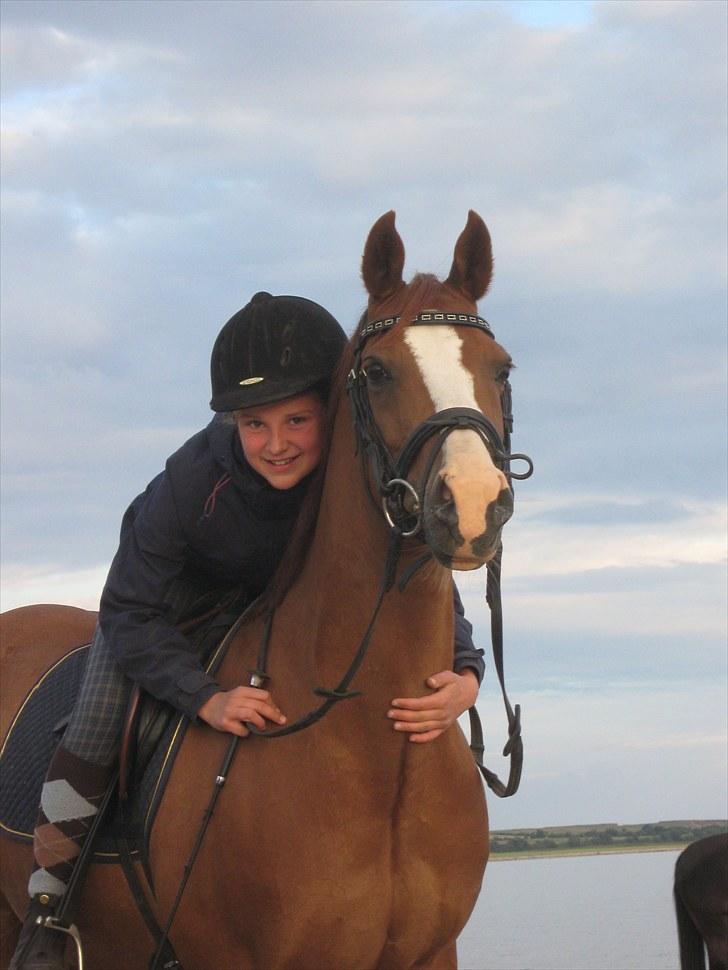 Welsh Pony (sec B)  Molenhorn´S Amaretto B-PONY [Tidl. hest] - Amaretto og mig ved standen d. 1 august  2010 dog lykkedes det ikke at få ham ud i vandet:-/ Fotograf: Mor  billede 13