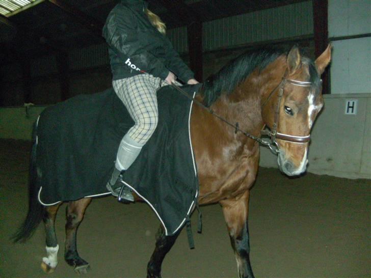 Anden særlig race Boogie +R.I.P+ >>savnes<< - Nutte gøj :P billede 9