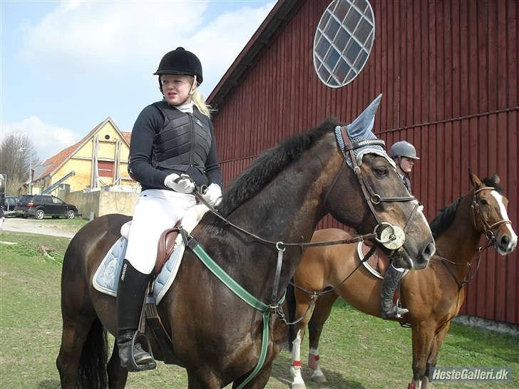 Anden særlig race Indy(solgt) - springer på tprk d.13/2-10 taget af laura billede 9