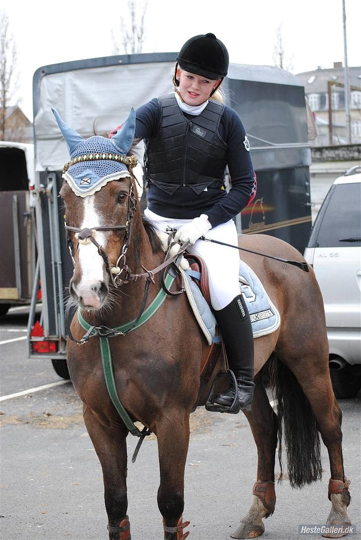 Anden særlig race Indy(solgt) - spriner på tprk d.13/2-10 taget af bibi billede 12