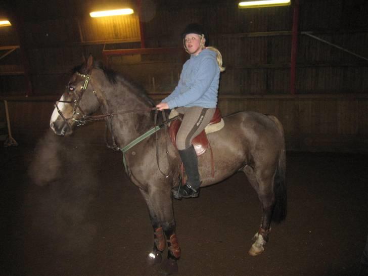 Anden særlig race Indy(solgt) - spriner på tprk d.13/2-10 taget af bibi billede 13