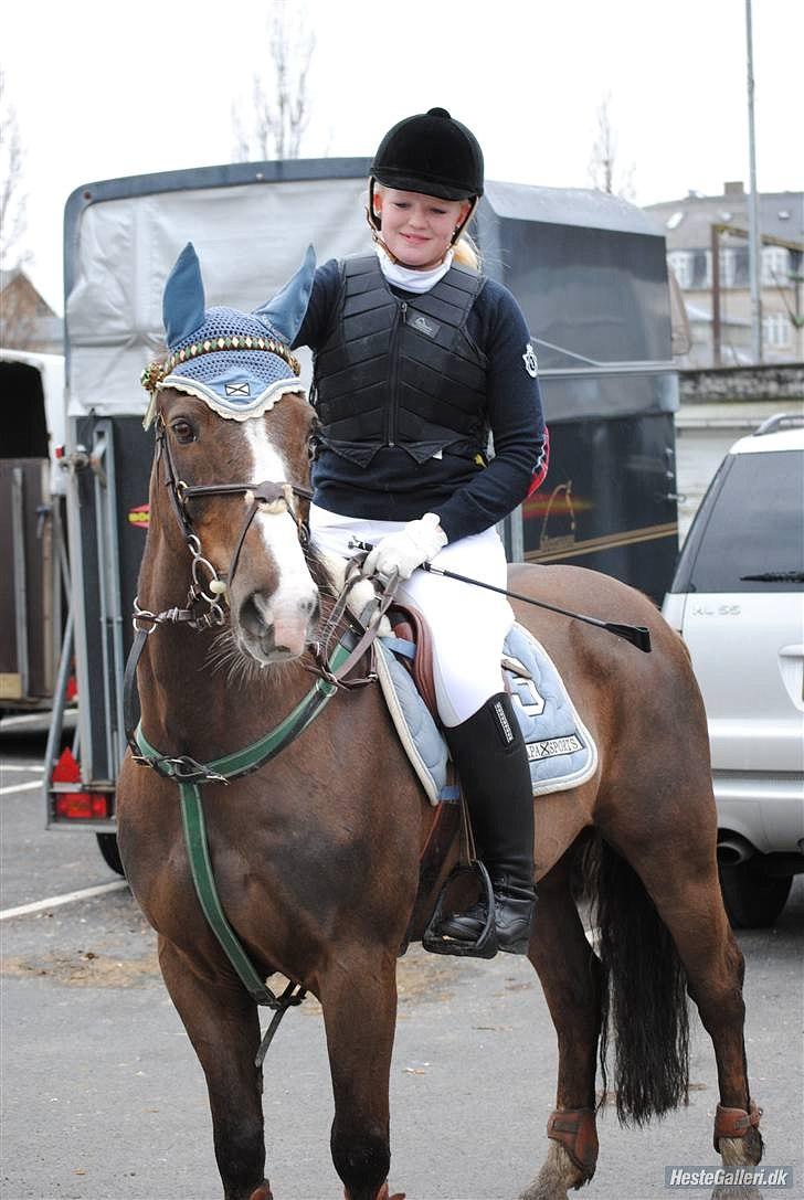Anden særlig race Indy(solgt) - spriner på tprk d.13/2-10 taget af bibi billede 16