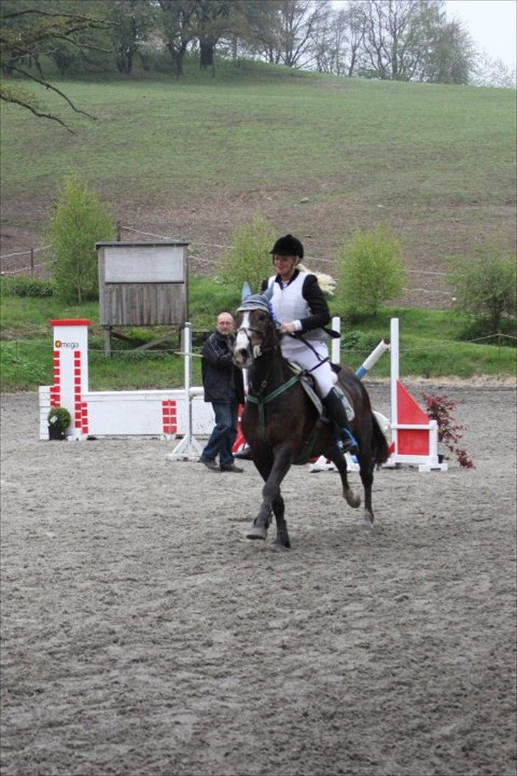 Anden særlig race Indy(solgt) - spriner på tprk d.13/2-10 taget af bibi billede 17