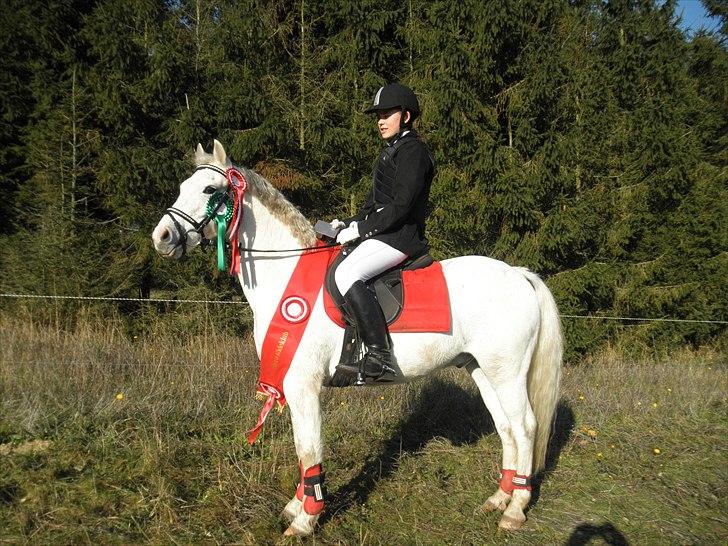 Anden særlig race Whisdom By Jazz [Søsters] - Vinder af Gjernmesterskabet i spring 2010! :D Foto: Mor billede 2