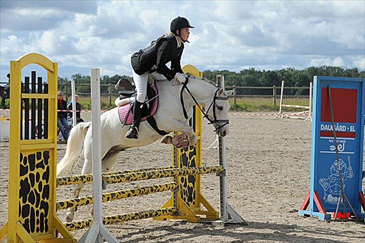 Anden særlig race Whisdom By Jazz [Søsters] - Whisser springer suverent over. Til Farmland cup 2010, her i LB. Foto: Photo-Corner billede 6