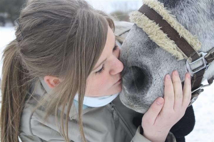 Anden særlig race Labri <3 billede 12