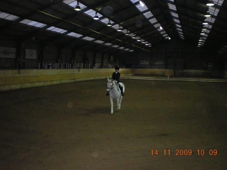 Anden særlig race Line billede 8