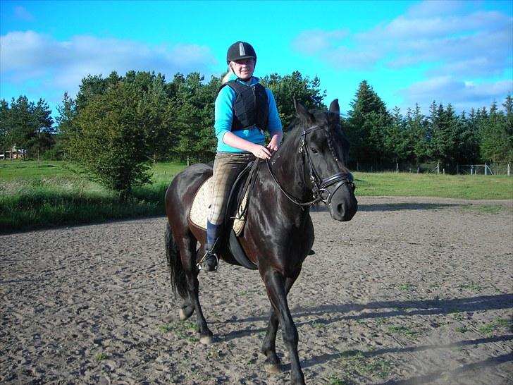Koldblodstraver Bella Brilliant - Elsker det her billed, jeg elsker dig min pony! billede 17