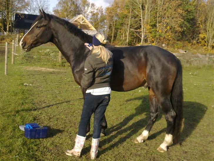 Anden særlig race Jackson *R.I.P* - Udstråling eller solen? Det kan være svært at se!<3 billede 15