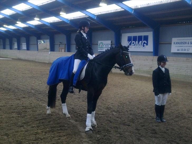 Anden særlig race Jackson *R.I.P* - 2 plads TLR til 66,?% Blev Klubmester pony dressur 09/10 billede 18