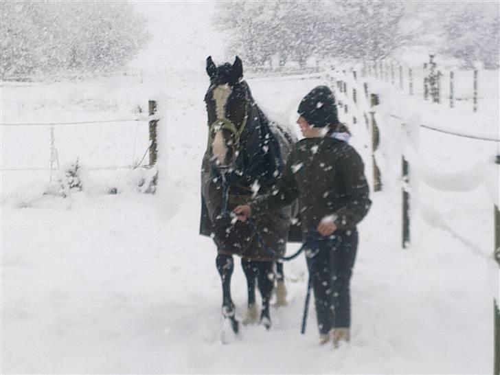 Anden særlig race Jackson *R.I.P* - Hej med jer!<3 billede 19