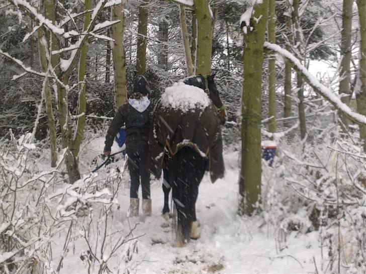 Anden særlig race Jackson *R.I.P* - Tak fordi i kiggede forbi!<3 På gensyn!<3 billede 20