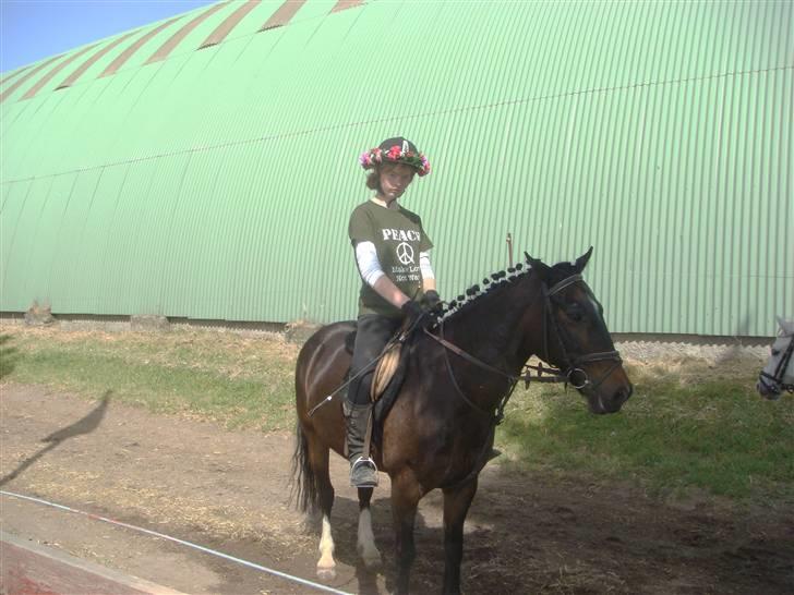 Anden særlig race Anton - Rideopvisning 2008 - Hippie [Foto: Far] billede 16