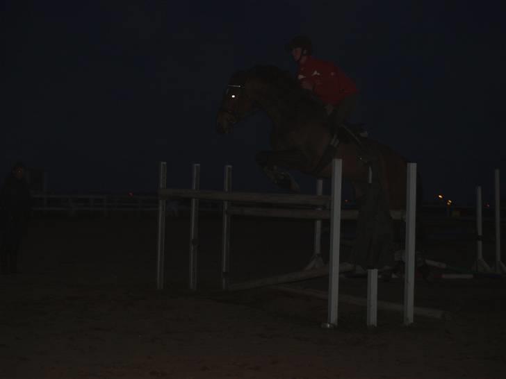 Dansk Varmblod Nørremøllehøj´s Luna (Solgt til norge) - 14-04-2010 Sonny springer ca 130 på luna :D billede 17