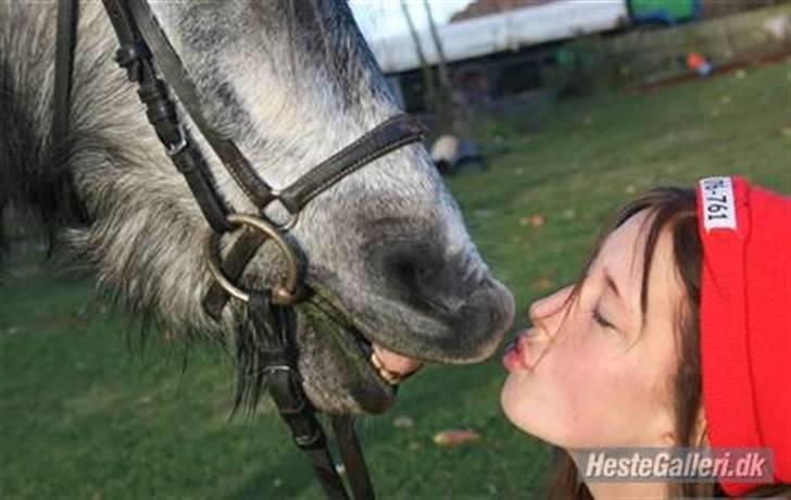 Anden særlig race Bette-my. Solgt. - mysmys i;?<3 billede 4