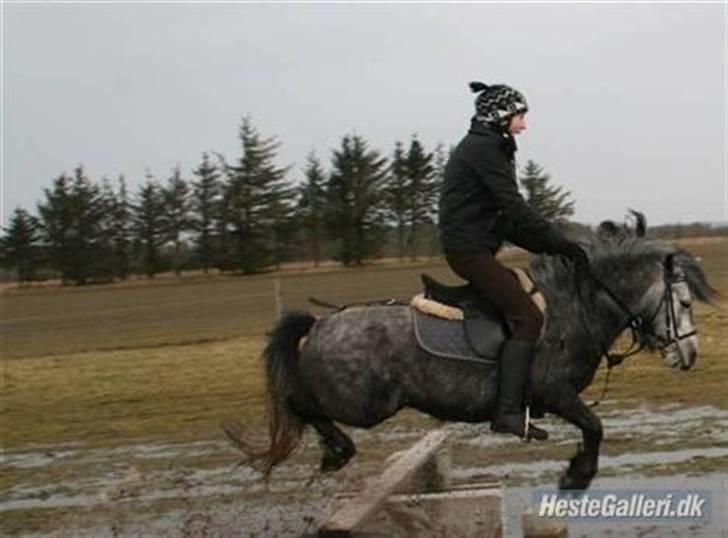 Anden særlig race Bette-my. Solgt. - Ja tossede kan vi se ud d;?<3 men vi skal jo også pas sammen xd billede 5