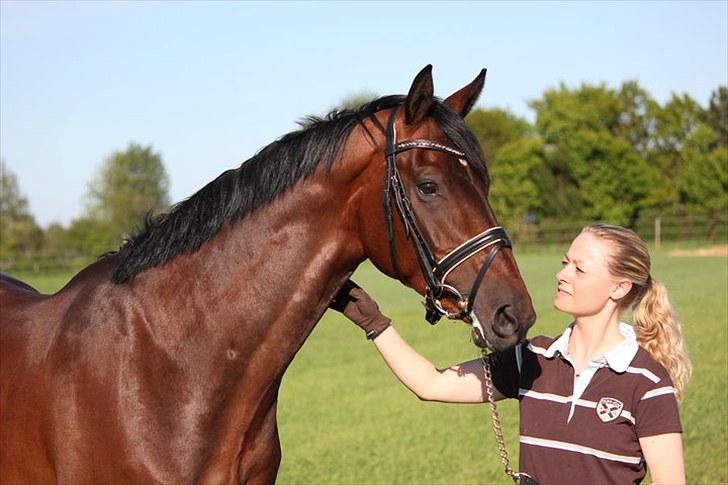 Hannoveraner Henrikas-Star - Rikas og jeg, 2. juni 2010 Fotograf Mie Winding www.horsepictures.dk billede 4