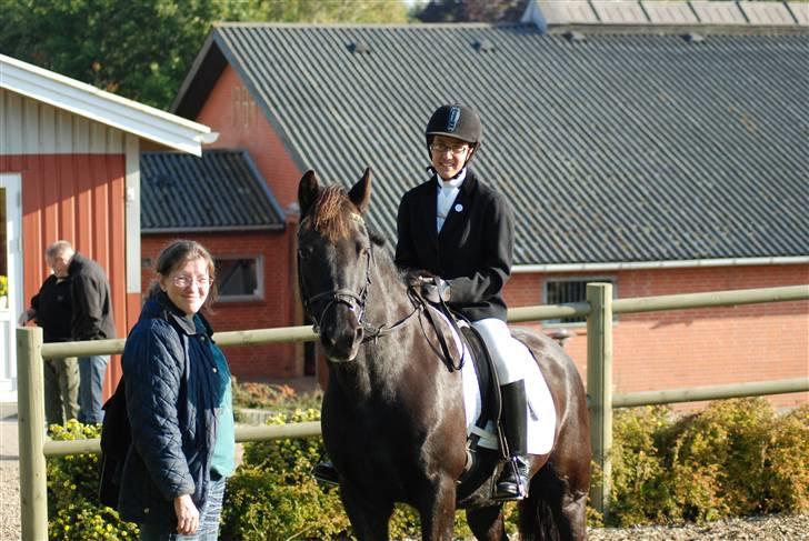 New Forest Sonny Boy *DRØMMEPONYEN* - Sonny, Mutti og jeg..Til stævne på Tougaard. billede 14