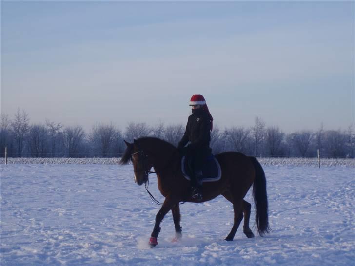 Traver Handmade R.I.P - Randi ridder på Handmead, og hun går endda til biddet<3 billede 2