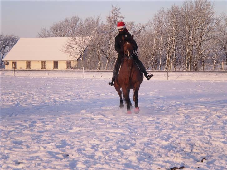 Traver Handmade R.I.P - Ude og ride igen<3 billede 3