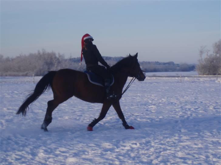 Traver Handmade R.I.P billede 4