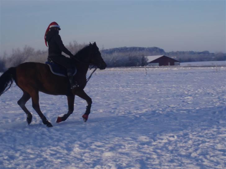 Traver Handmade R.I.P billede 6