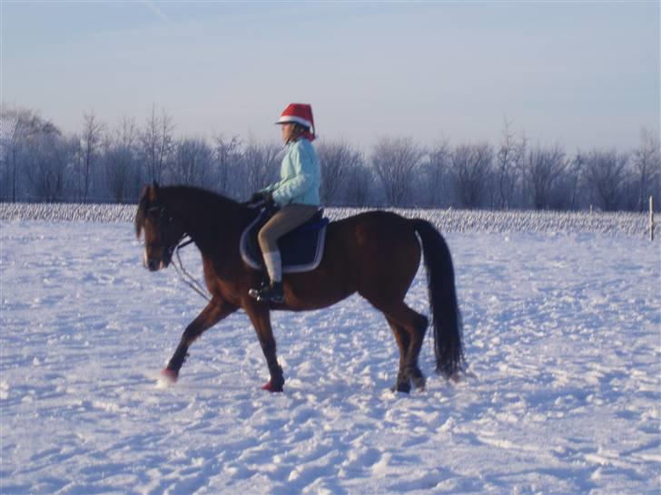 Traver Handmade R.I.P billede 8