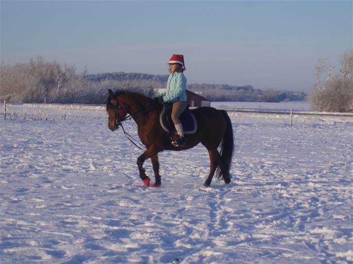 Traver Handmade R.I.P billede 9