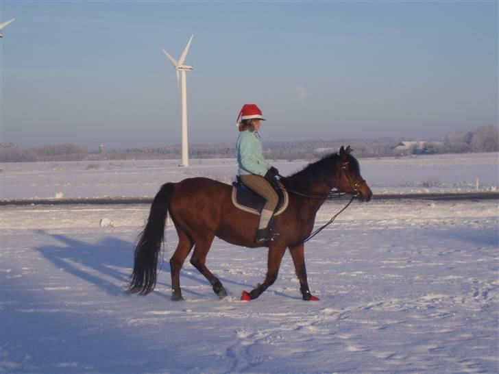 Traver Handmade R.I.P billede 10