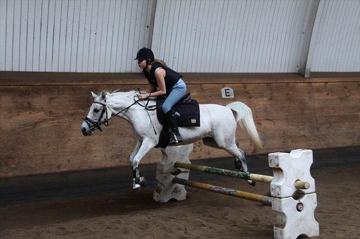Anden særlig race Chapplin. SOLGT - det er et ret gammelt billede. her er chapsen og jeg over et lille spring. ved godt jeg sidder grimt, men det er gammelt ;)  billede 4