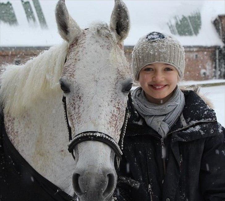 Anden særlig race Chapplin. SOLGT - SÅ perfekte sammen! billede 11