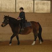 Anden særlig race Prinsessa