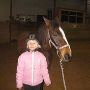 Anden særlig race Prinsessa