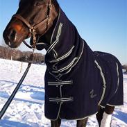 Trakehner  Tete De La Course